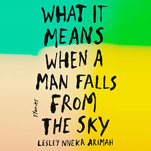 Cover of What It Means When a Man Falls from the Sky