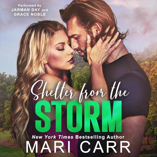 Cover of Shelter from the Storm