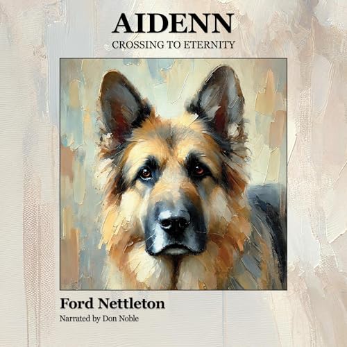 Cover of AIDENN