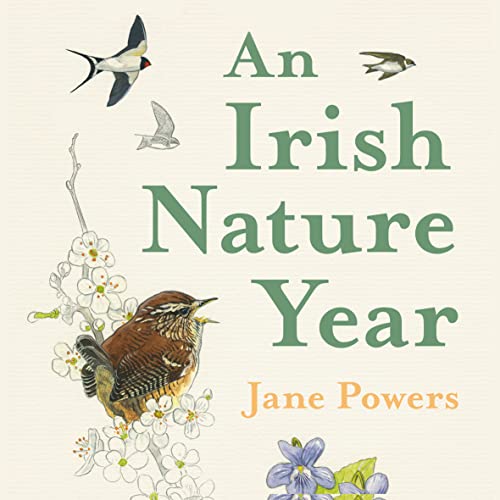 Cover of An Irish Nature Year