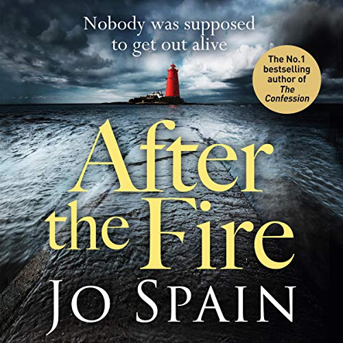 Cover of After the Fire