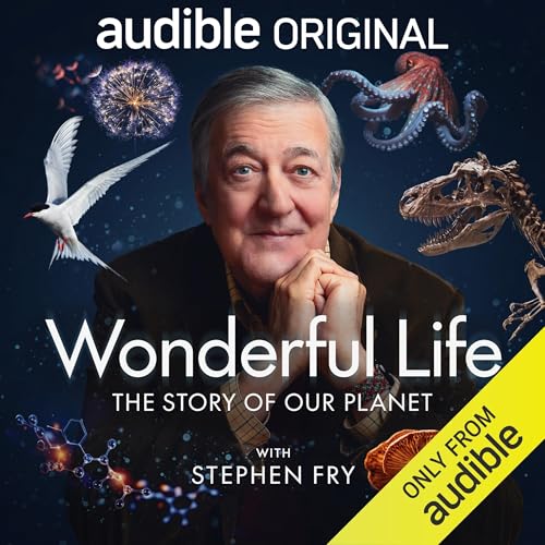 Cover of Wonderful Life with Stephen Fry