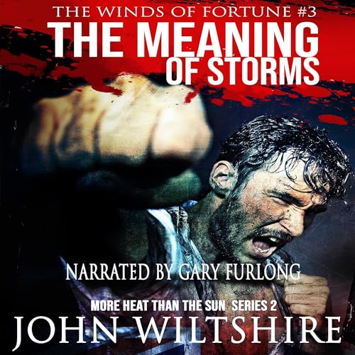 Cover of The Meaning of Storms