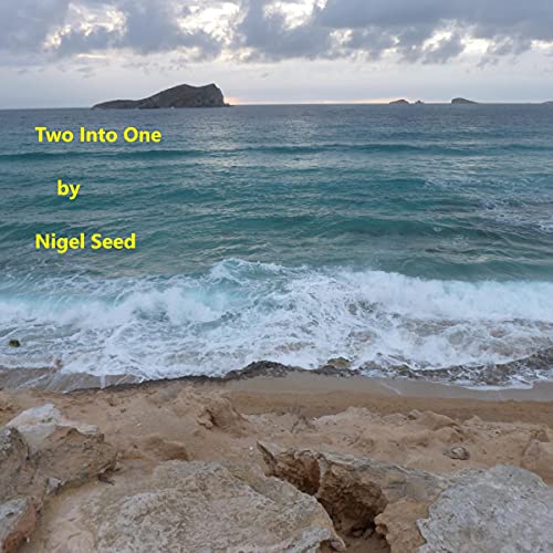 Cover of Two into One