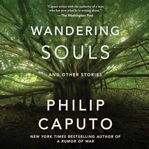 Cover of Wandering Souls
