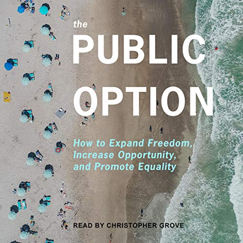 Cover of The Public Option