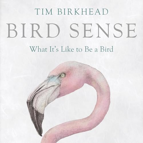 Cover of Bird Sense