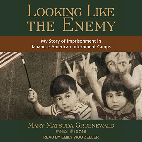 Cover of Looking Like the Enemy