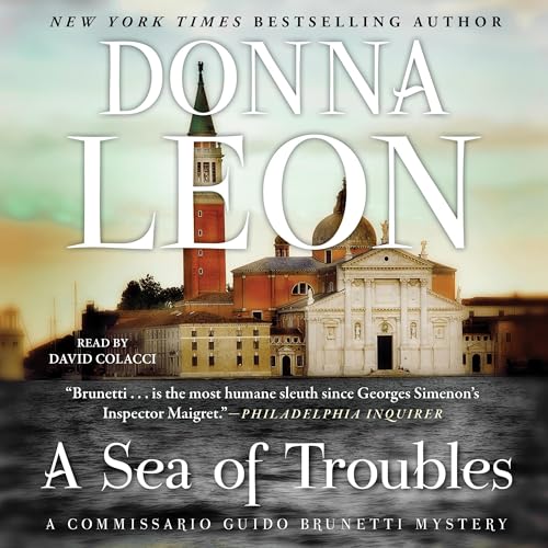 Cover of A Sea of Troubles