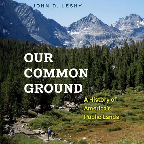 Cover of Our Common Ground