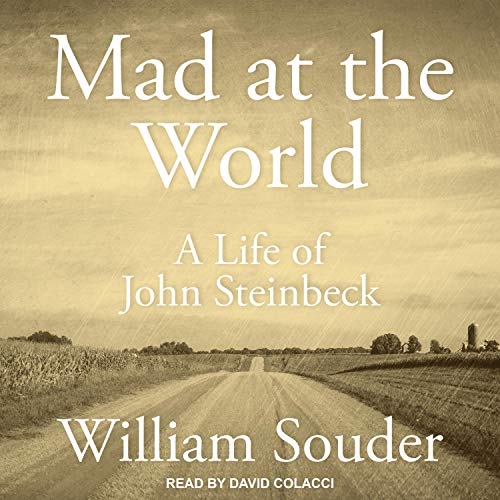 Cover of Mad at the World