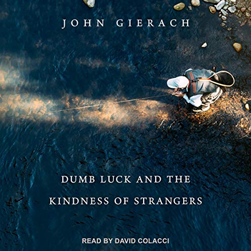 Cover of Dumb Luck and the Kindness of Strangers