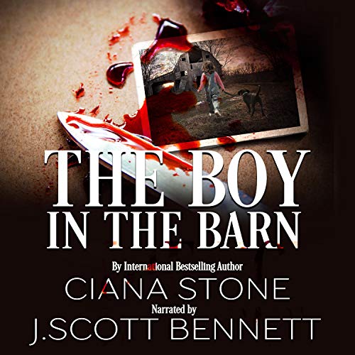 Cover of The Boy in the Barn