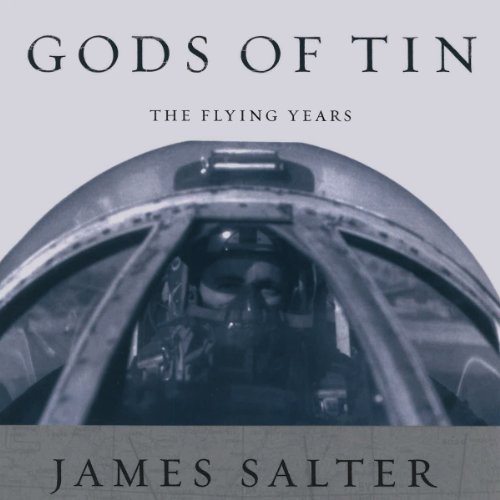 Cover of Gods of Tin