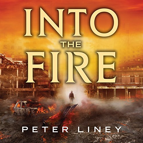 Cover of Into the Fire