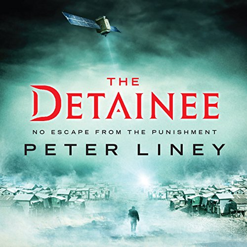 Cover of The Detainee