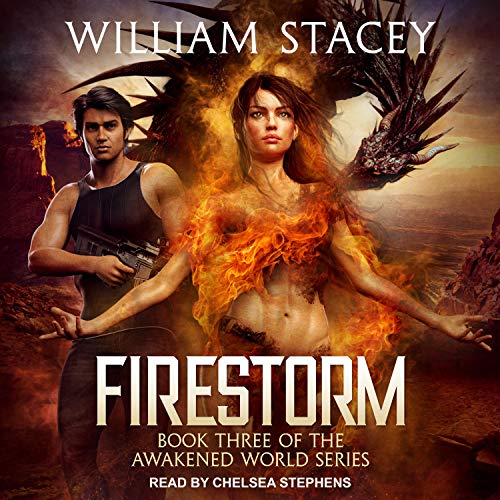 Cover of Firestorm