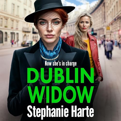 Cover of Dublin Widow