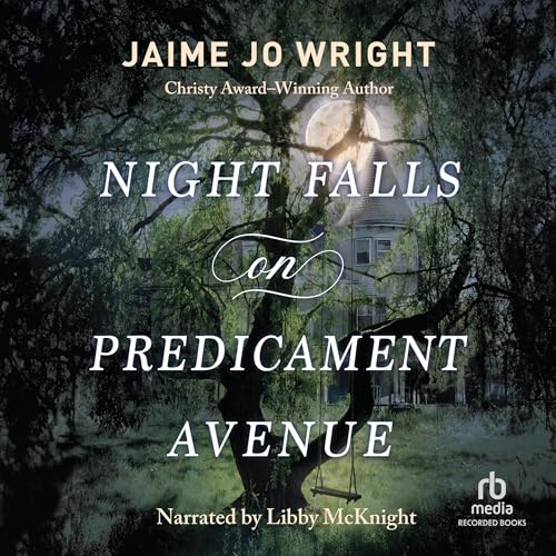 Cover of Night Falls on Predicament Avenue