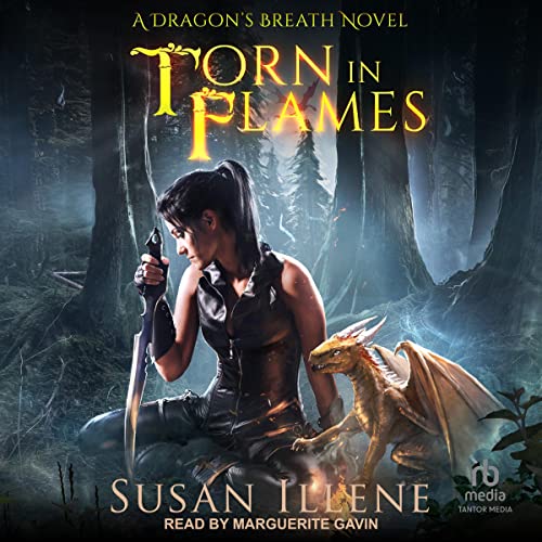 Cover of Torn in Flames