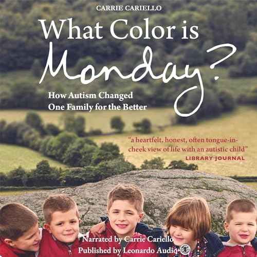 Cover of What Color Is Monday?