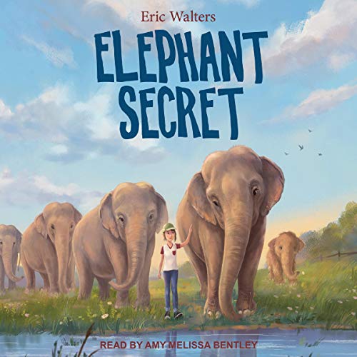 Cover of Elephant Secret