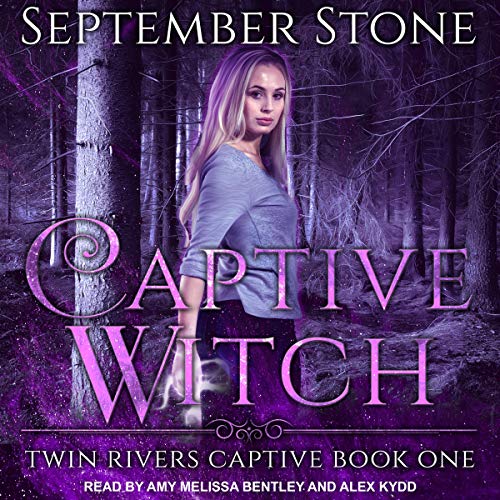 Cover of Captive Witch