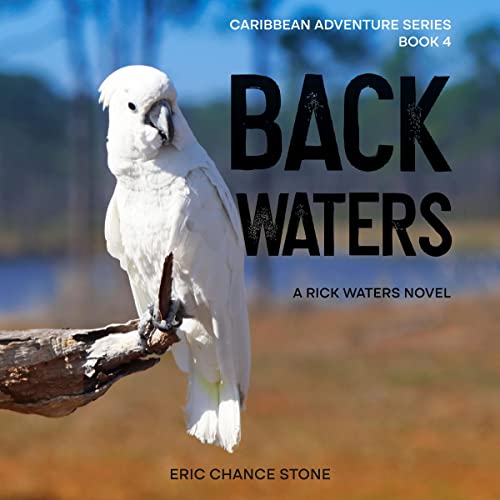 Cover of Back Waters: A Rick Waters Novel