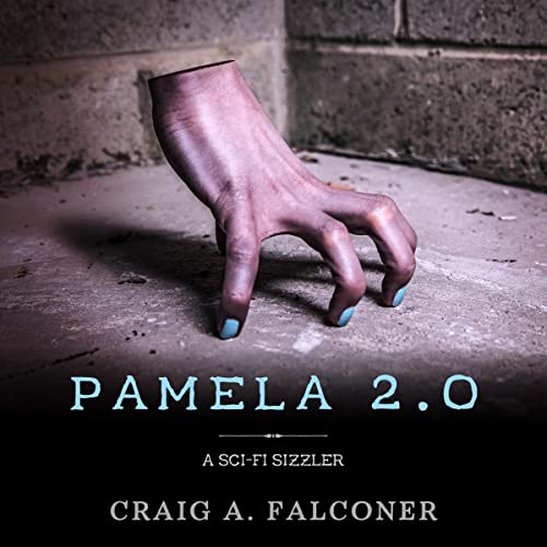 Cover of Pamela 2.0