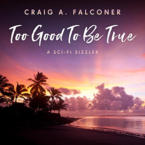 Cover of Too Good to Be True