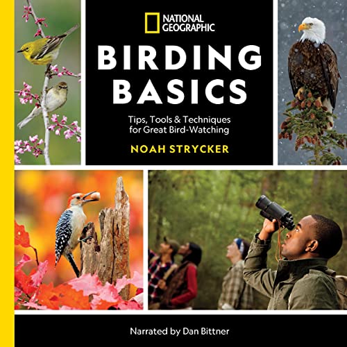 Cover of National Geographic Birding Basics