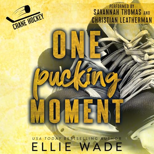 Cover of One Pucking Moment