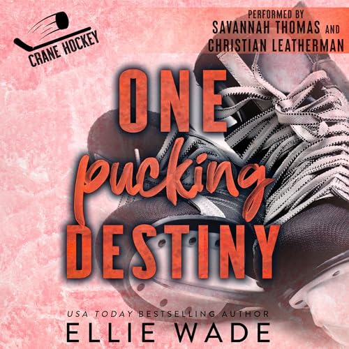 Cover of One Pucking Destiny