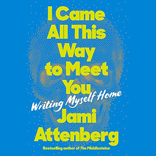 Cover of I Came All This Way to Meet You