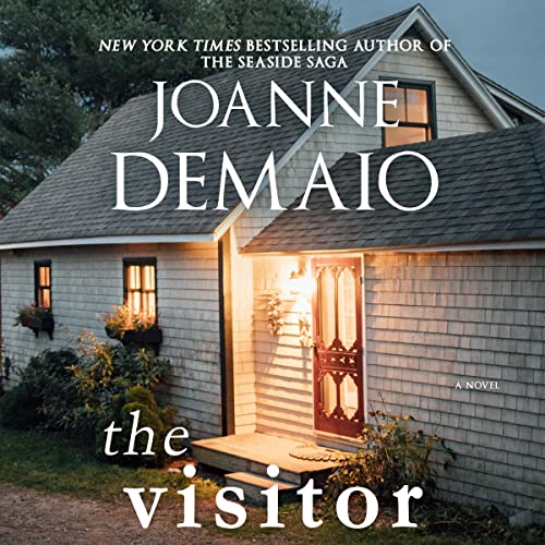 Cover of The Visitor