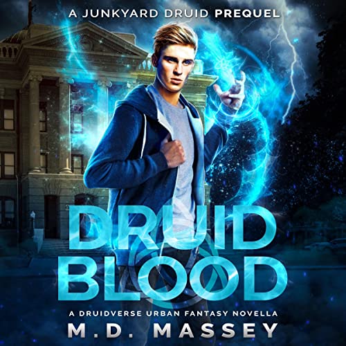 Cover of Druid Blood