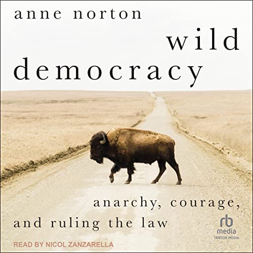 Cover of Wild Democracy