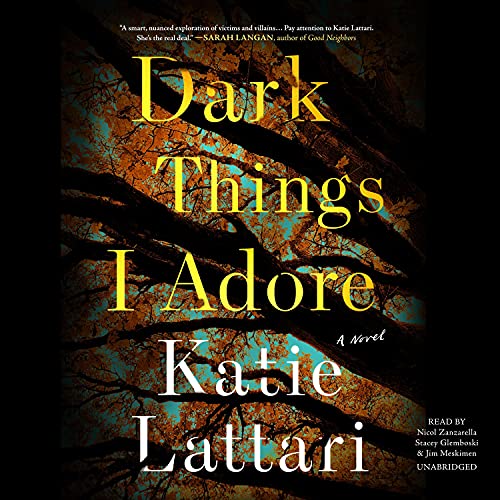 Cover of Dark Things I Adore