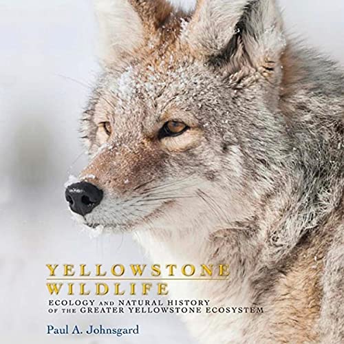 Cover of Yellowstone Wildlife