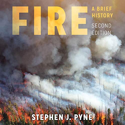 Cover of Fire: A Brief History