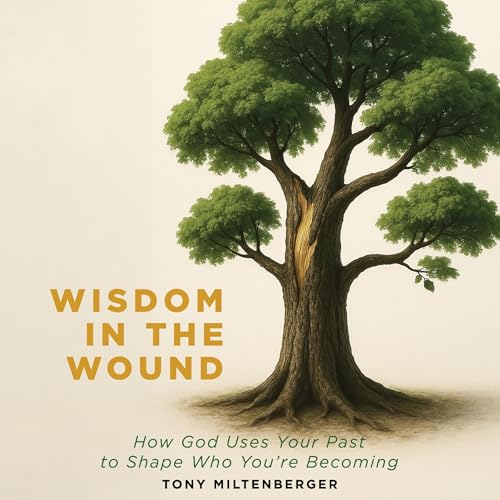 Cover of Wisdom in the Wound