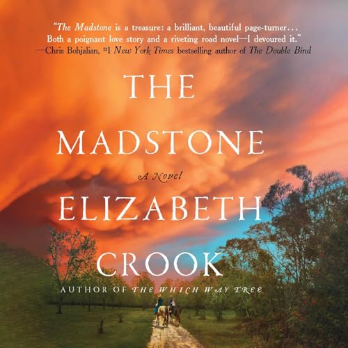 Cover of The Madstone