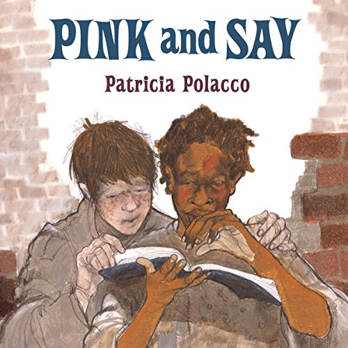 Cover of Pink and Say