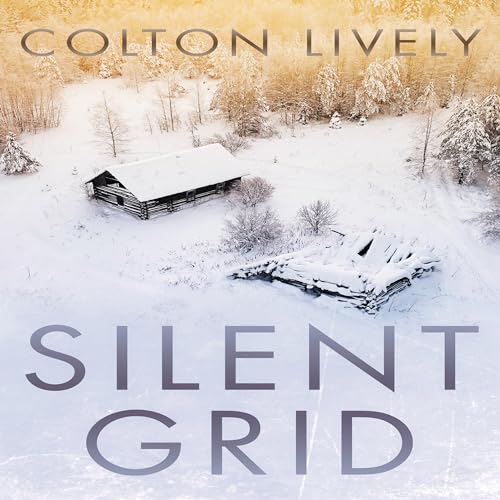 Cover of Silent Grid