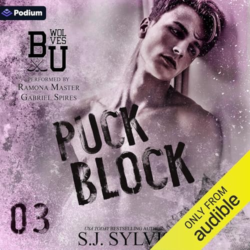 Cover of Puck Block