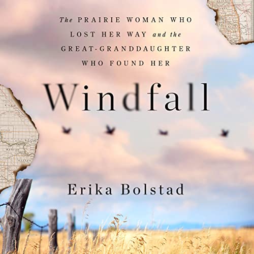 Cover of Windfall