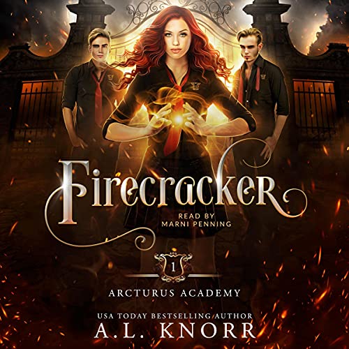 Cover of Firecracker