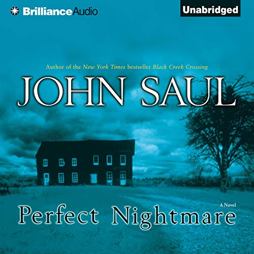 Cover of Perfect Nightmare
