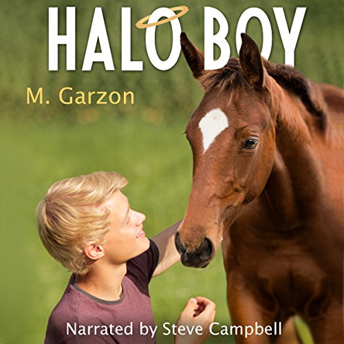 Cover of Halo Boy