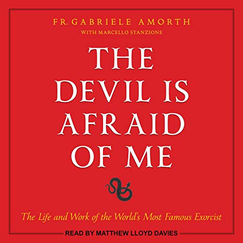 Cover of The Devil is Afraid of Me